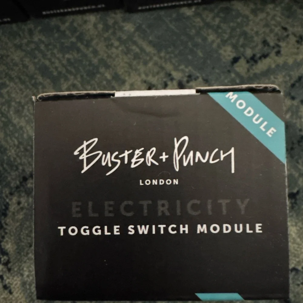 Buster + Punch Toggle Standard Switch Module 15A 125VAC 60Hz NTM-01384